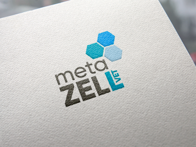 Metazell Logoentwicklung